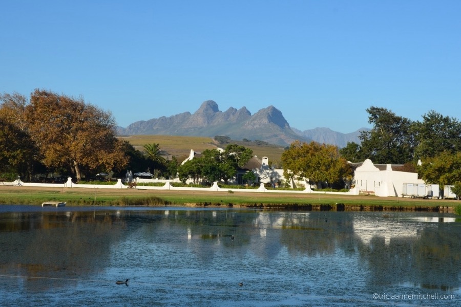 Dramatic mountains frame the autumn-hued landscape near the Vergenoegd Winery, near Cape Town, South AFrica.