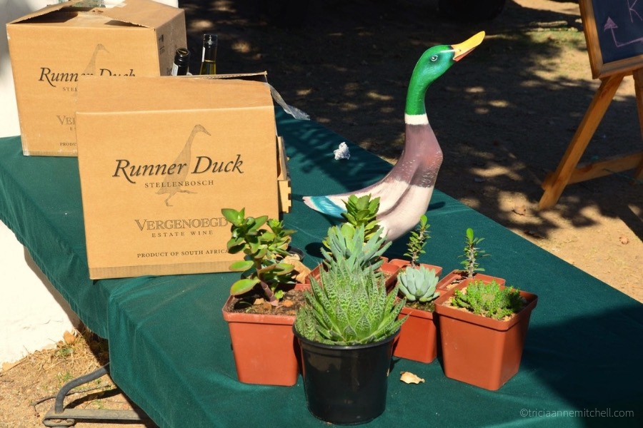 Houseplants for sale Duck Parade