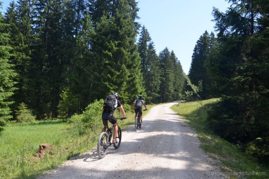 Two cyclists, dressed in black, ride up a gravel road on the Laber Mountain in Oberammergau, Germany. Each side of the road is framed with evergreen trees.