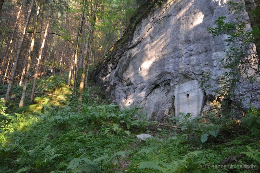 Inside a forest on the Laber Mountain slopes, the ground is covered with ferns. To the right, one section of a naturally-occurring rock wall is filled in with concrete. This was once an entrance to a secret Nazi, World War 2 era aircraft research and development center and factory.