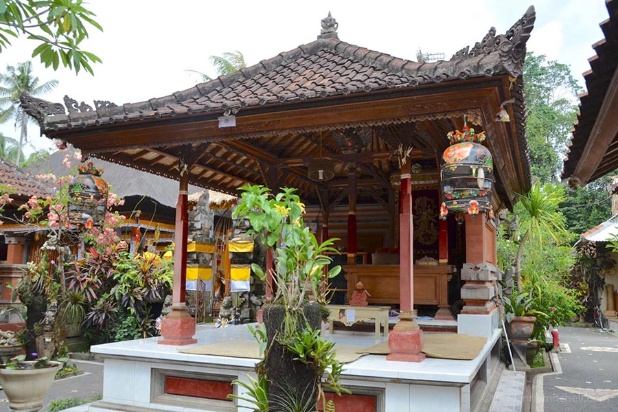 Ketut Liyer Home The inner courtyard of Ketut Liyer's home is filled with potted plants and flowers, as well as birdcages.