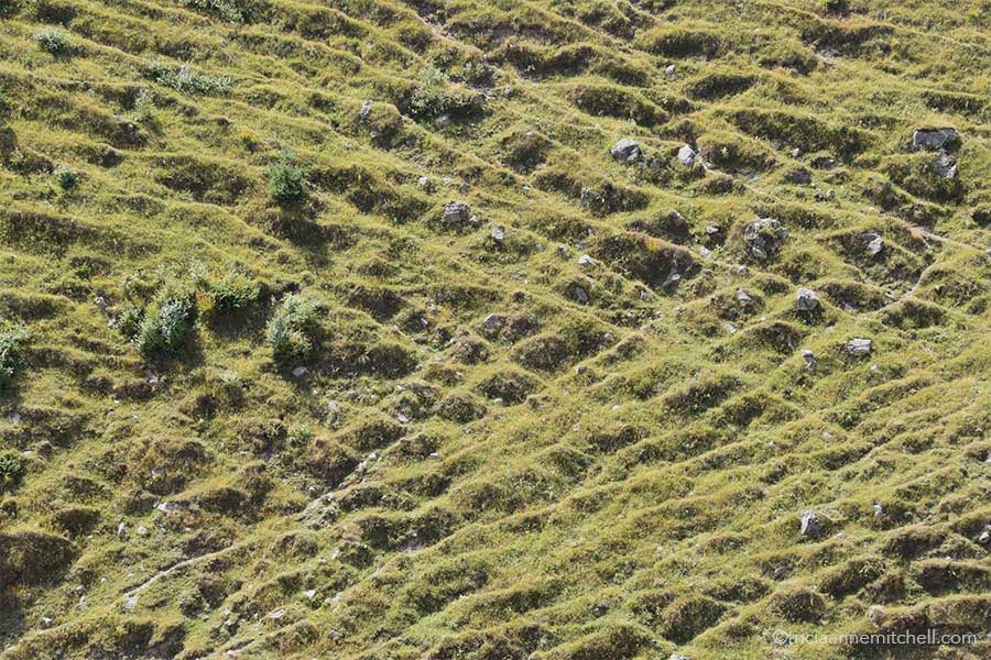 Crisscrossing lines, possibly from rainfall and erosion, create an interesting pattern on a mountain slope near Kazbegi, Georgia.