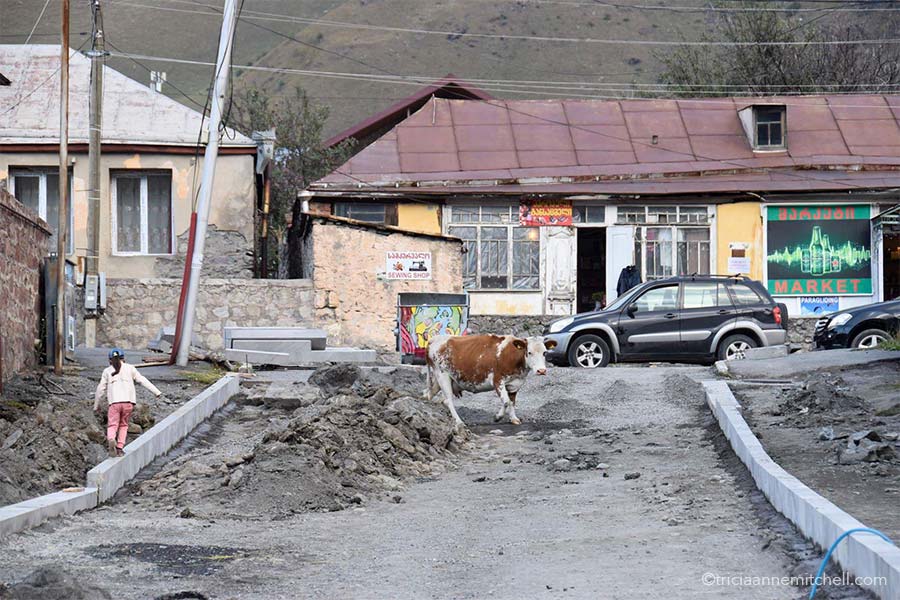 A brown and white cow walks on a street undergoing construction in Kazbegi, Georgia.