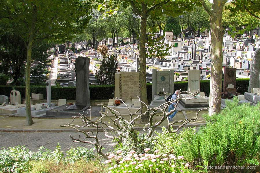 A man walks on a street in Paris' Pere Lachaise Cemetery. He is surrounded by trees and there are hundreds of headstones in the background.