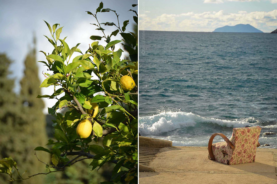 Left: Close-up of a lemon tree with 3 lemons. Right: A vintage chair with rose fabric sits on a concrete landing alongside the sea. A wave is crashing into the scene.