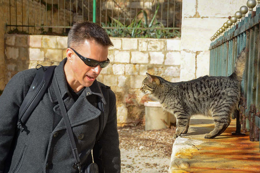 Shawn and a cat playfully come face to face