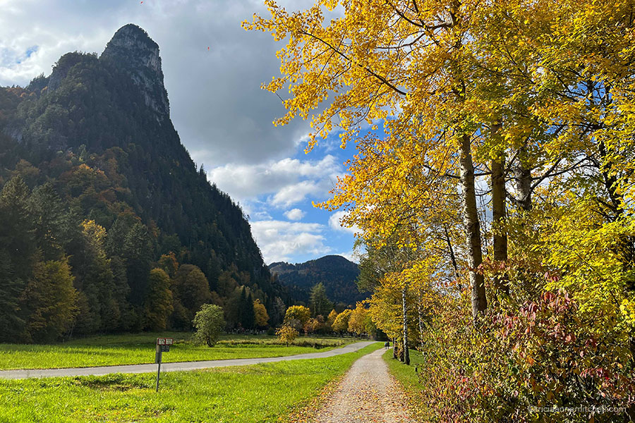 A gravel bike and foot path crosses the landscape. A mountain peak is visible on the left, and the scene is framed by trees filled with yellow, green, and red autumn leaves.