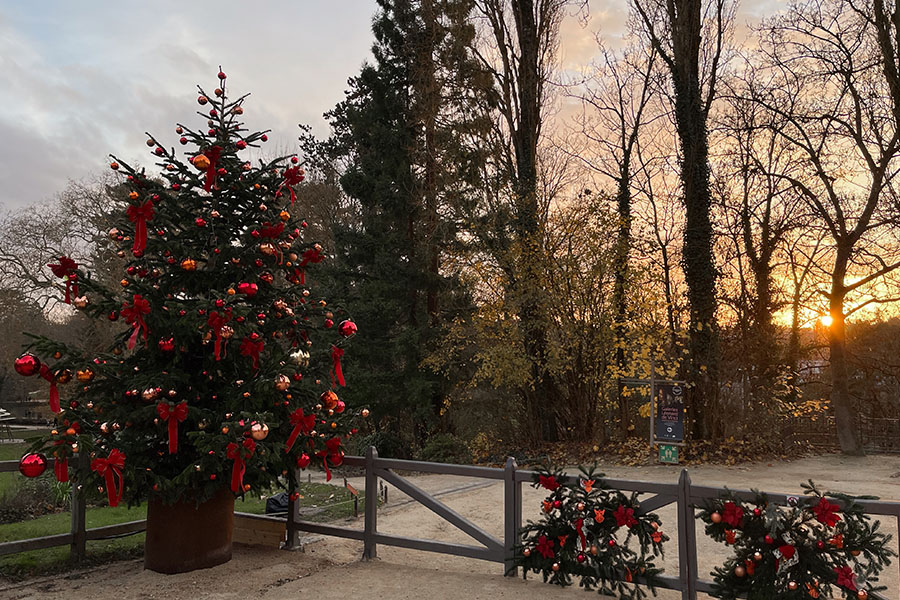 Clos Lucé's grounds are seen at sunset, with a Christmas tree and evergreen trimmings decorating the main walkway.