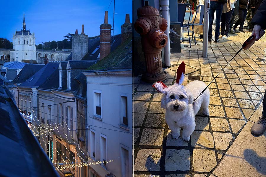 Amboise's Saint Hubert Chapel towers over buildings on Rue Nationale. Curved white holiday lights hang from the buildings' second floors. In the right, a white Maltese dog wears red and white feathers on its head for Christmas.