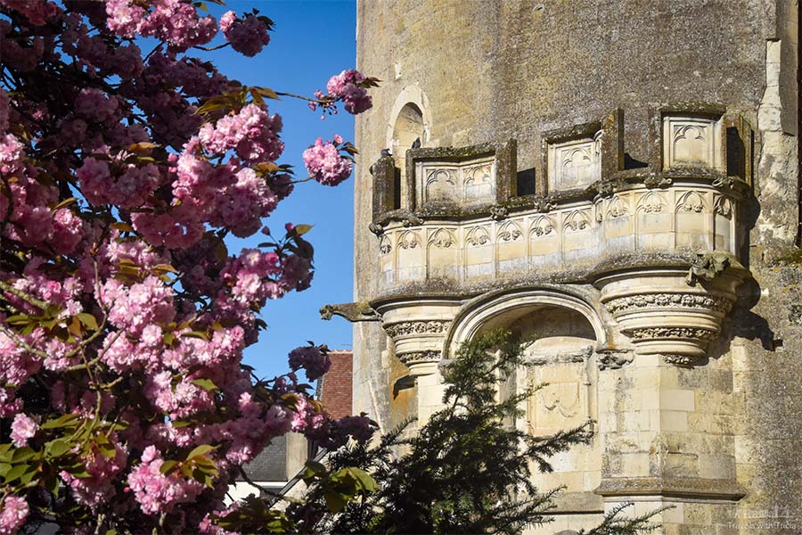 Close-up of the Minimes Tower that adorns the front façade of the Amboise Castle. Two gargoyles decorate the tower. A branch with pink cherry blossom blooms frames the tower.