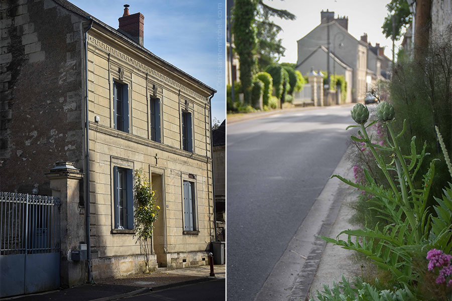 On the left and right, street scenes in Cinq Mars la Pile, France. On the left is a stone building with blue shutters and a blue gate. On the right, foliage grows along the roadside. Artichoke is the most prominent.