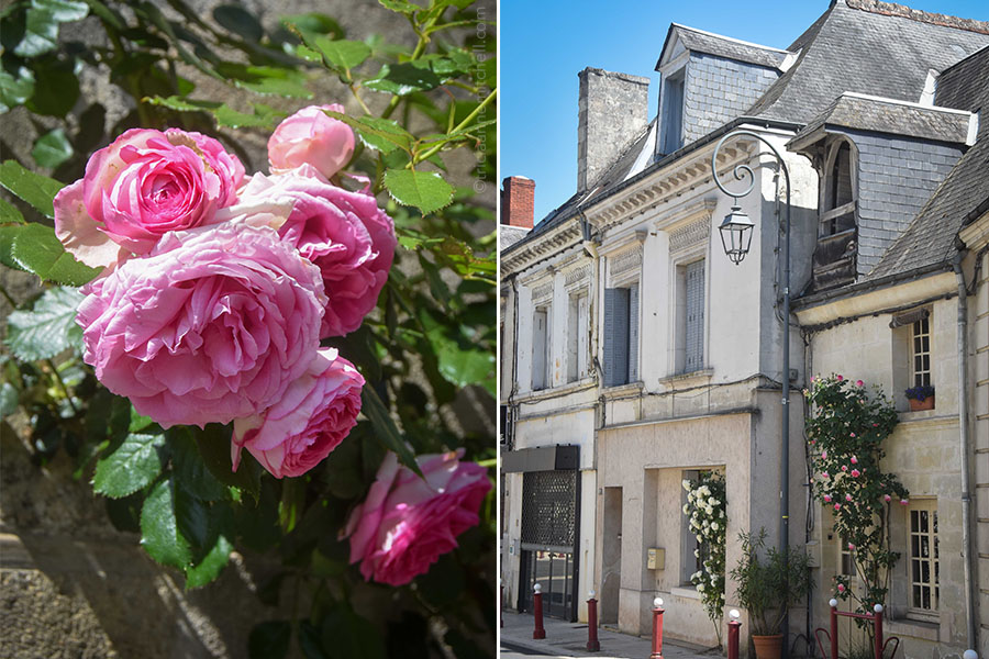 On the left, a cluster of pink roses grow on the trellis of a building. On the right, stone buildings line a main street in the town of Cinq Mars La Pile, France.